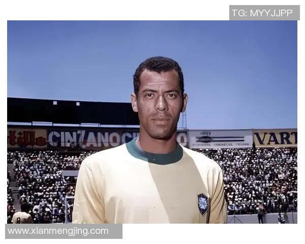 足球明星们的12号球衣背后故事与传奇时刻的精彩回顾